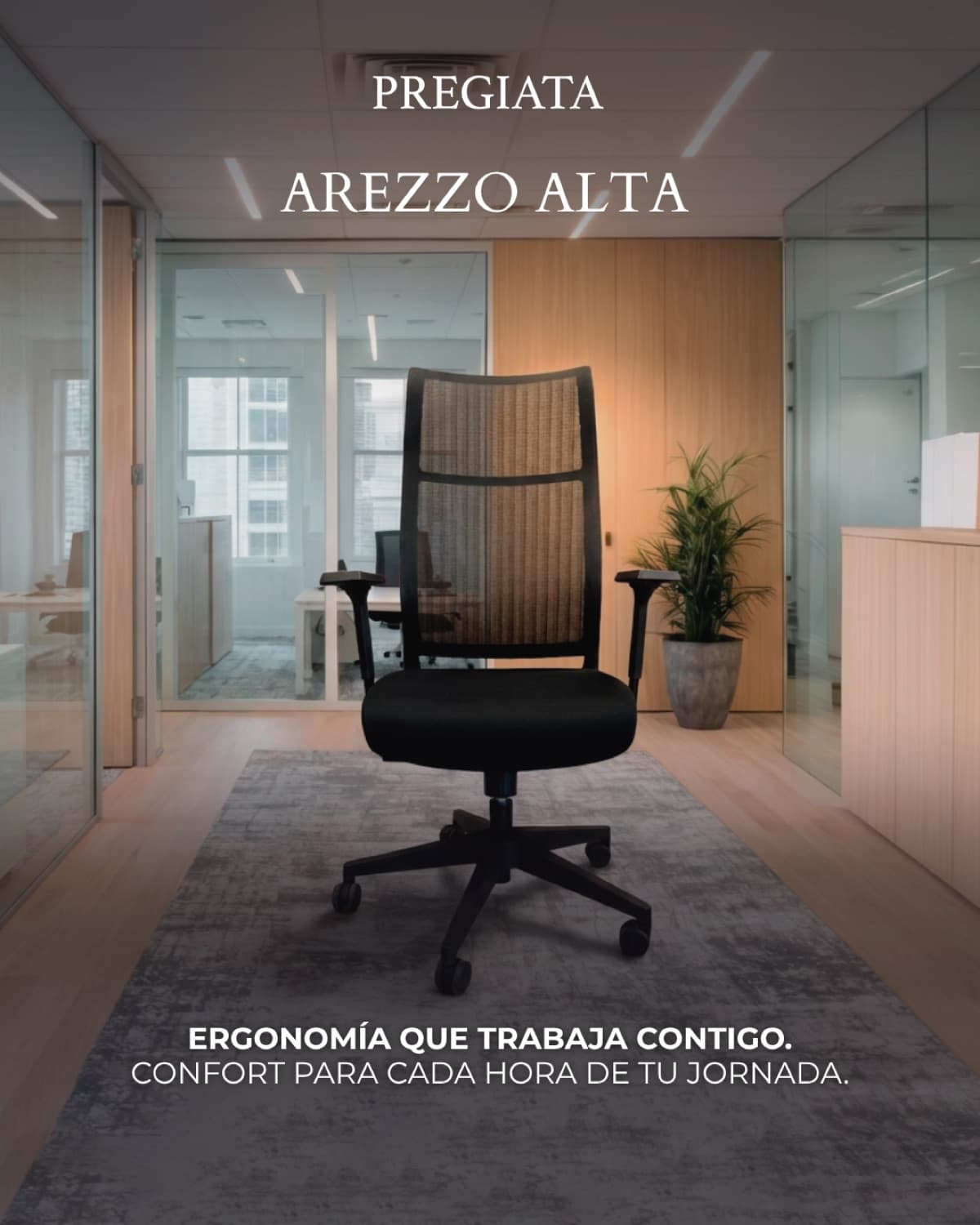 Pregiata — Muller y Pérez